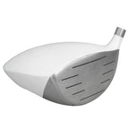 Integra Sooolong 168 Beta Titanium Driver Head