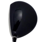 Integra Sooolong Graph-Ti Titanium Driver Head
